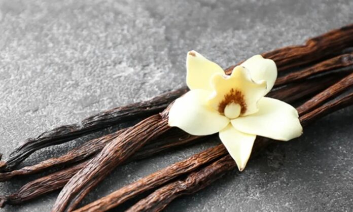 Dünyanın en sevilen aromalarından biri olan Vanilya, hem tatlı tariflerinde hem de kozmetik sektöründe yaygın olarak kullanılan değerli bir bitkisel üründür. Tropikal iklimlerde yetişen ve bilimsel adı Vanilla planifolia olan orkide türünden elde edilir. Çubuk formundaki meyveleri fermente edilerek karakteristik kokusunu kazanır. Bu zahmetli üretim süreci, Vanilyayı dünyanın en kıymetli baharatlarından biri haline getirir. Konulu bir haber görseli.