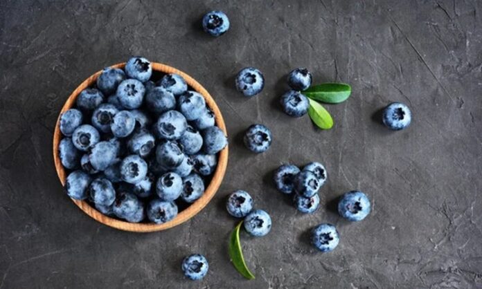 Son yıllarda sağlıklı beslenme trendleriyle birlikte adından sıkça söz ettiren Yaban Mersini, küçük yapısına rağmen oldukça zengin bir besin içeriğine sahiptir. Mavi ve mor tonlarındaki rengiyle dikkat çeken bu özel meyve, hem taze hem de kurutulmuş formda tüketilebilmektedir. Özellikle antioksidan kapasitesi sayesinde doğal beslenme programlarının vazgeçilmezlerinden biri haline gelmiştir. Bu nedenle Yaban Mersini nedir sorusu, sağlıklı yaşamı benimseyen birçok kişi tarafından merak edilmektedir. Konulu bir haber görseli.