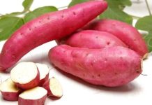 Yer elması, son yıllarda sağlık ve beslenme dünyasında öne çıkan doğal bir kök sebzedir. Toprağın altından çıkarılan bu besin, hem lezzeti hem de sağlığa faydalarıyla dikkat çeker. Genellikle salatalarda, çiğ tüketimde veya yemeklerde kullanılan yer elması, içerdiği yüksek lif, vitamin ve mineral oranıyla sindirimden bağışıklığa kadar pek çok alanda destek sağlar. Konulu bir haber görseli.