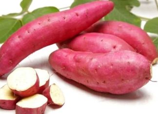 Yer elması, son yıllarda sağlık ve beslenme dünyasında öne çıkan doğal bir kök sebzedir. Toprağın altından çıkarılan bu besin, hem lezzeti hem de sağlığa faydalarıyla dikkat çeker. Genellikle salatalarda, çiğ tüketimde veya yemeklerde kullanılan yer elması, içerdiği yüksek lif, vitamin ve mineral oranıyla sindirimden bağışıklığa kadar pek çok alanda destek sağlar. Konulu bir haber görseli.